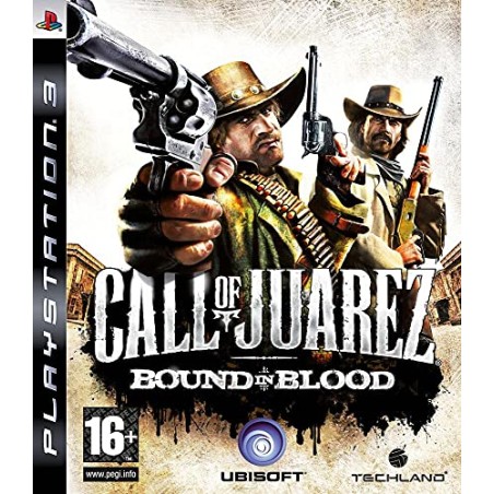 Call of Juarez : Bound in Blood